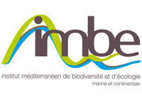 logo © IMBE