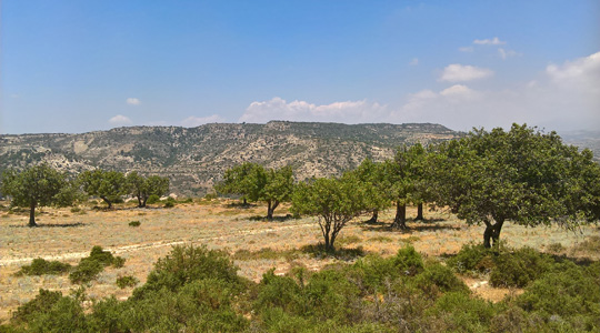 CHANAO2-View-Cyprus-Anogyra-