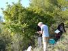 Enquête de terrain et échantillonage sur le site "Mt Faron" à Toulon (Var, France). De gauche à droite, M. Juin, A. Baumel et M. Moakhar (IMBE) © Cirad, H. Sanguin
