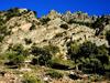 Cliff landscape with carobs (ESGRA, Grazalema, Spain) © AMU, F. Médail