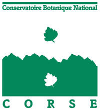 Logo © CBN Corse