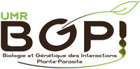 Logo © BGPI